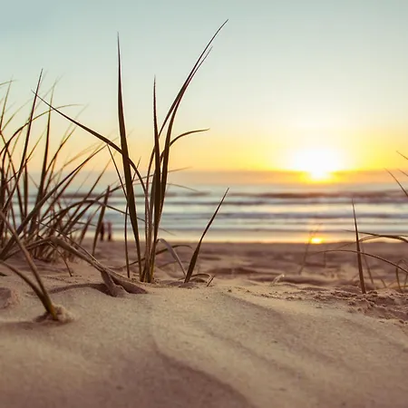 Apartment Le Cocon Royal