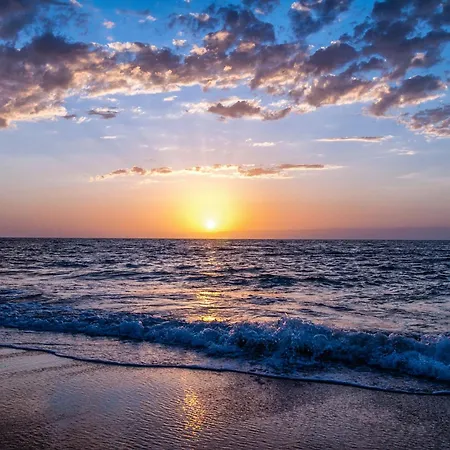 Le Cocon Royal Apartment *