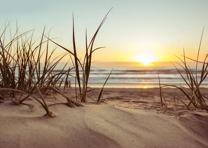 Apartment Le Cocon Royal